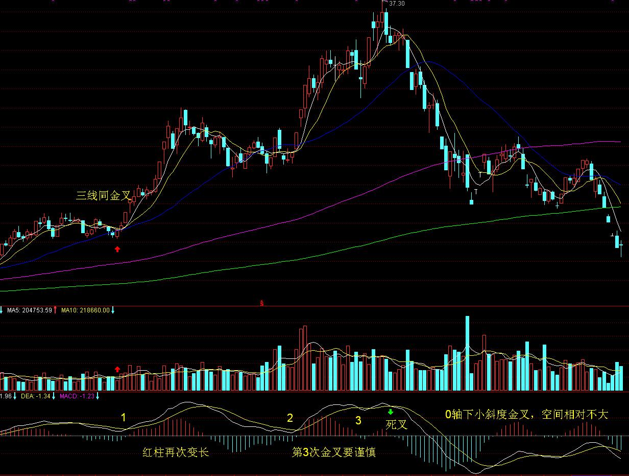 泰康人寿安徽分公司:以史为鉴,明辨风险——从"郁金香泡沫"看理性投资